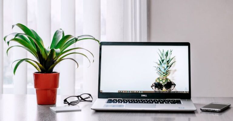 Laptop - Photo of Laptop Near Plant